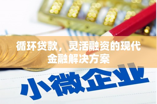 临翔循环贷款，灵活融资的现代金融解决方案