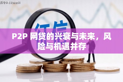 临翔P2P 网贷的兴衰与未来，风险与机遇并存