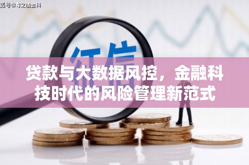 临翔贷款与大数据风控，金融科技时代的风险管理新范式