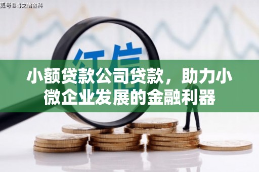 临翔小额贷款公司贷款，助力小微企业发展的金融利器