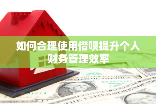 临翔如何合理使用借呗提升个人财务管理效率