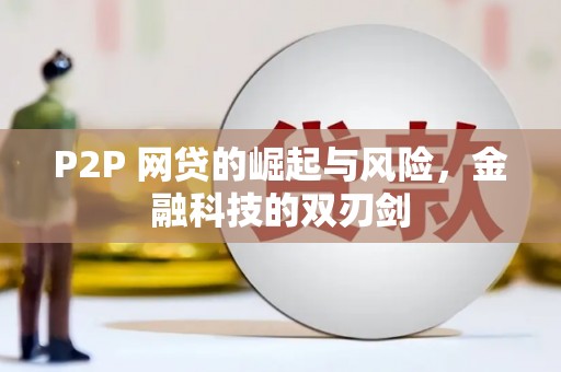 临翔P2P 网贷的崛起与风险，金融科技的双刃剑