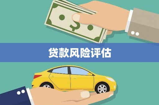 临翔贷款风险评估