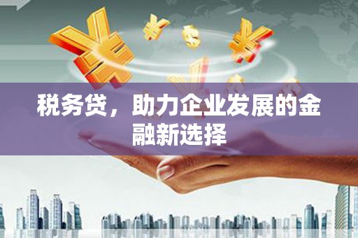 临翔税务贷，助力企业发展的金融新选择