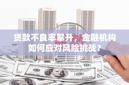 临翔贷款不良率攀升，金融机构如何应对风险挑战？