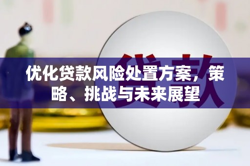 临翔优化贷款风险处置方案，策略、挑战与未来展望