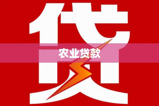 临翔农业贷款