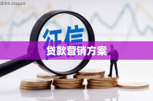临翔贷款营销方案