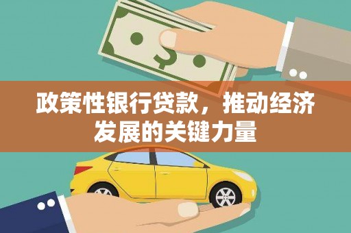 临翔政策性银行贷款，推动经济发展的关键力量