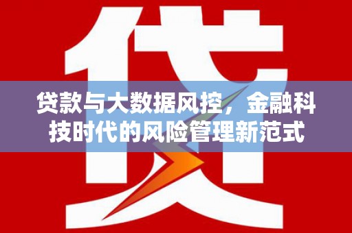 临翔贷款与大数据风控，金融科技时代的风险管理新范式
