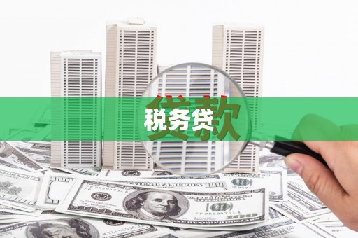临翔税务贷