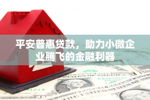 临翔平安普惠贷款，助力小微企业腾飞的金融利器