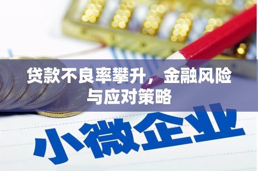 临翔贷款不良率攀升，金融风险与应对策略