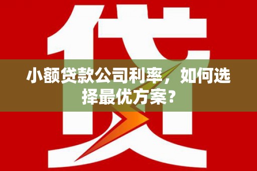 临翔小额贷款公司利率，如何选择最优方案？