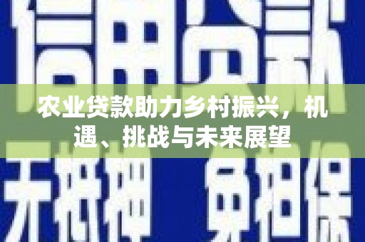 临翔农业贷款助力乡村振兴，机遇、挑战与未来展望