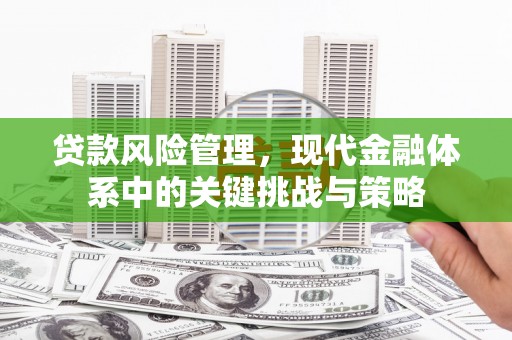 临翔贷款风险管理，现代金融体系中的关键挑战与策略