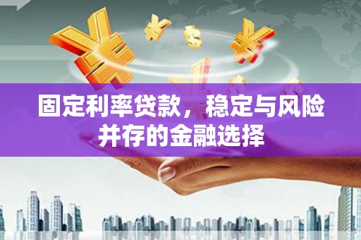 临翔固定利率贷款，稳定与风险并存的金融选择