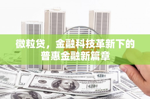 临翔微粒贷，金融科技革新下的普惠金融新篇章