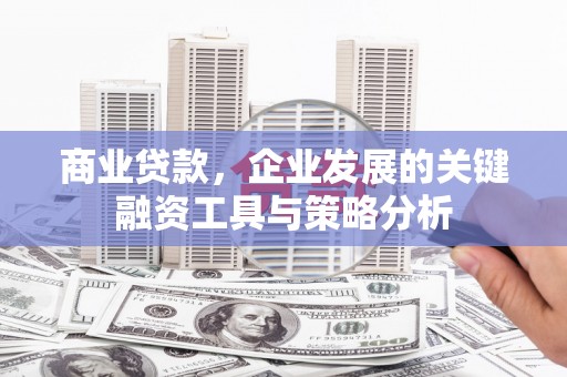 临翔商业贷款，企业发展的关键融资工具与策略分析