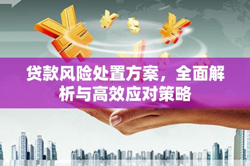 临翔贷款风险处置方案，全面解析与高效应对策略