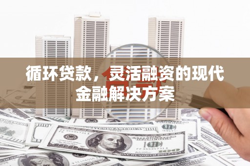 临翔循环贷款，灵活融资的现代金融解决方案