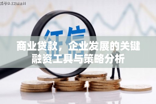 临翔商业贷款，企业发展的关键融资工具与策略分析