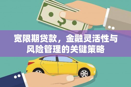 临翔宽限期贷款，金融灵活性与风险管理的关键策略