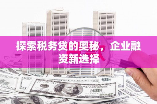 临翔探索税务贷的奥秘，企业融资新选择