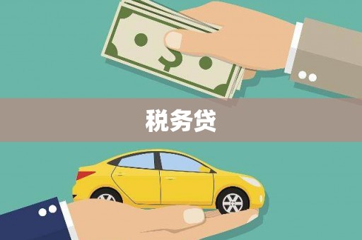临翔税务贷