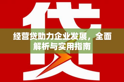 临翔经营贷助力企业发展，全面解析与实用指南