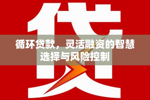 临翔循环贷款，灵活融资的智慧选择与风险控制
