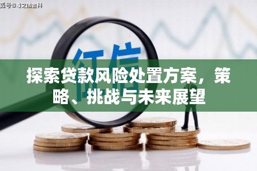 临翔探索贷款风险处置方案，策略、挑战与未来展望