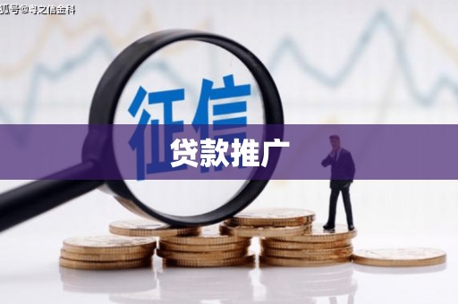 临翔贷款推广