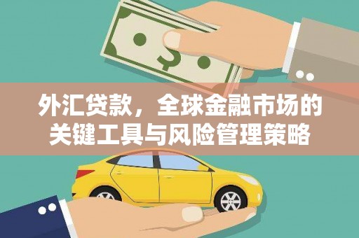 临翔外汇贷款，全球金融市场的关键工具与风险管理策略