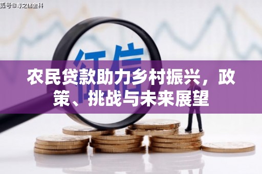 临翔农民贷款助力乡村振兴，政策、挑战与未来展望
