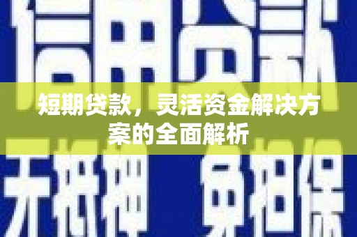 临翔短期贷款，灵活资金解决方案的全面解析