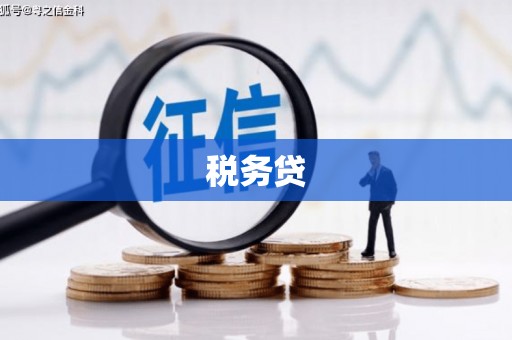 临翔税务贷