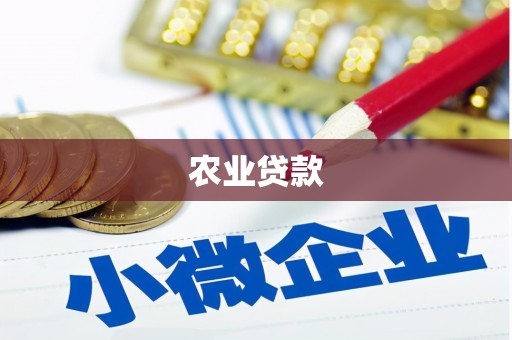 临翔农业贷款