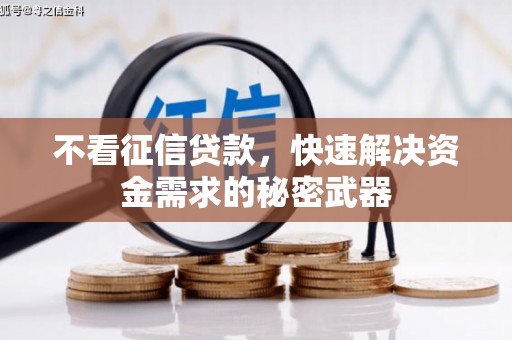 临翔不看征信贷款，快速解决资金需求的秘密武器