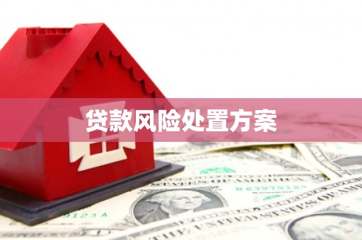临翔贷款风险处置方案