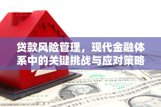 临翔贷款风险管理，现代金融体系中的关键挑战与应对策略