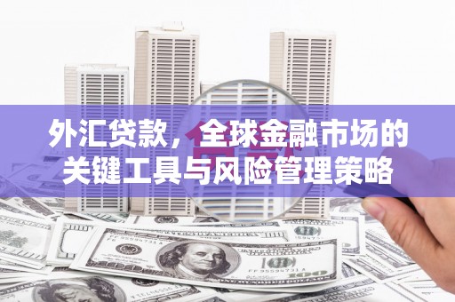 临翔外汇贷款，全球金融市场的关键工具与风险管理策略