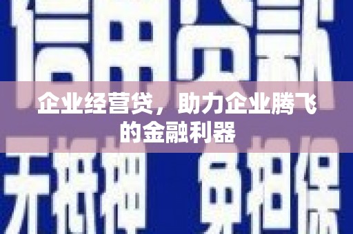 临翔企业经营贷，助力企业腾飞的金融利器