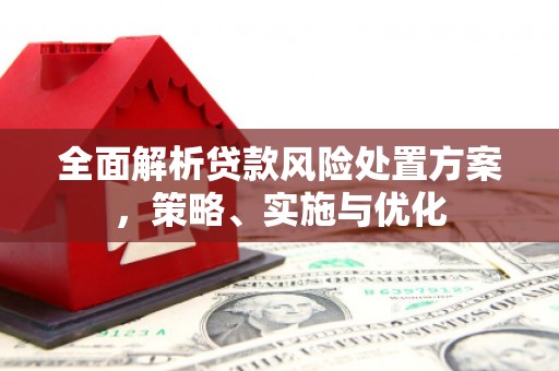 临翔全面解析贷款风险处置方案，策略、实施与优化