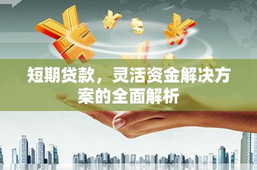 临翔短期贷款，灵活资金解决方案的全面解析