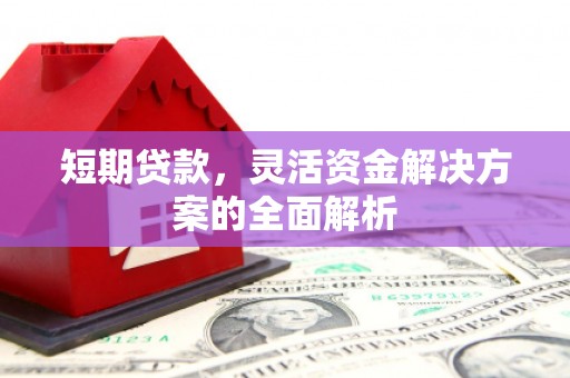 临翔短期贷款，灵活资金解决方案的全面解析