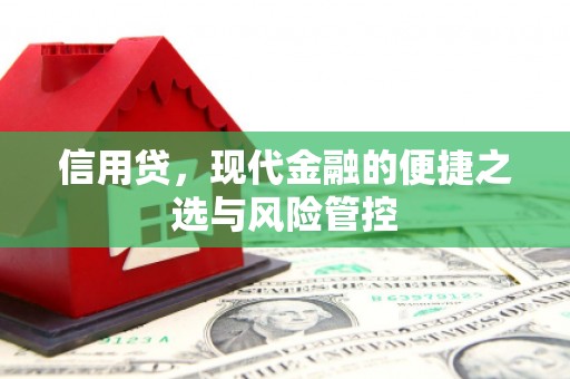 临翔信用贷，现代金融的便捷之选与风险管控