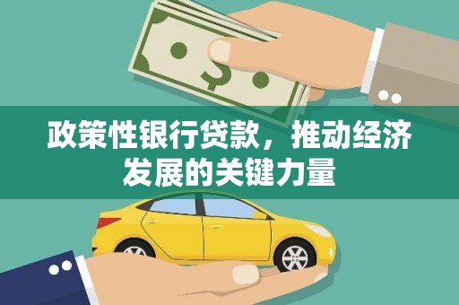临翔政策性银行贷款，推动经济发展的关键力量