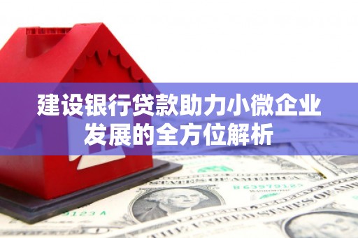 临翔建设银行贷款助力小微企业发展的全方位解析
