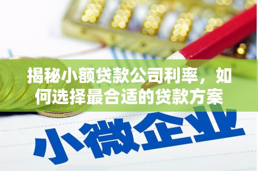 临翔揭秘小额贷款公司利率，如何选择最合适的贷款方案
